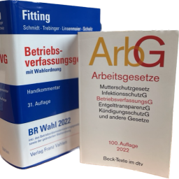 Auswirkungen der DSGVO auf die BR-Arbeit